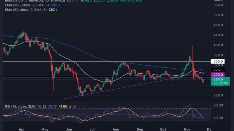 Binance Coin Loses $270 Support As Bears Eye $200; Will Bears Push Harder?