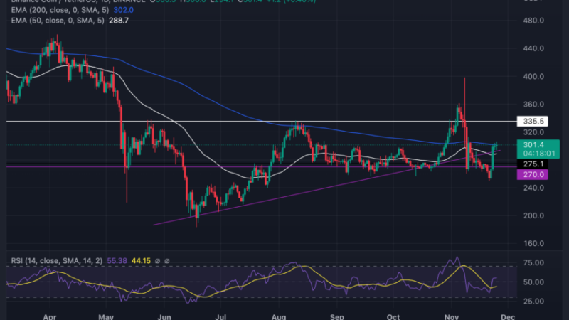 Binance Coin Revives Its Bullish Strength Above $290; Will Bulls Defend This Area?