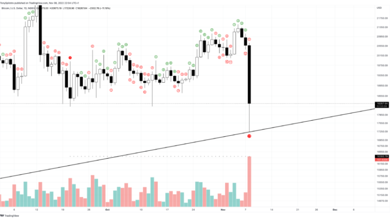 Bitcoin Bloodbath Takes Crypto To New Bear Market Lows | BTCUSD November 8, 2022