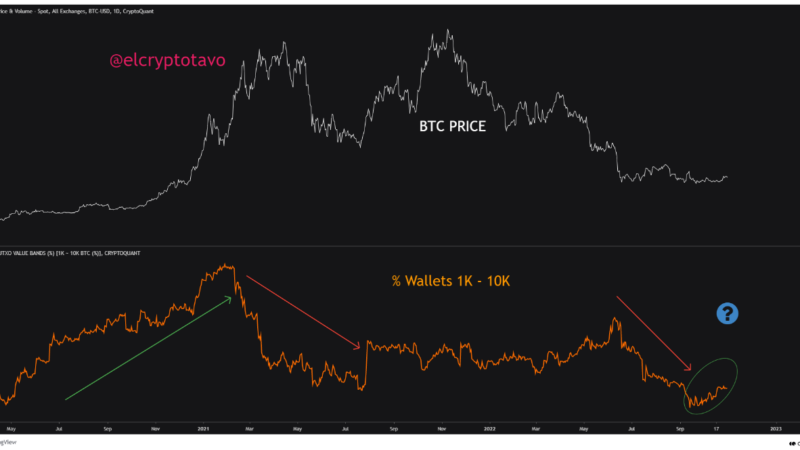 Bitcoin Bullish Signal: Whales With 1k-10k BTC Have Been Accumulating