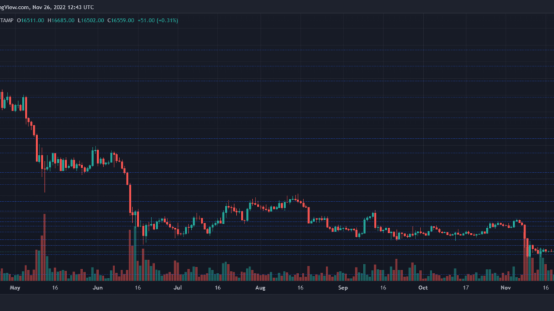 Bitcoin Price Recovery; Vital Levels To Keep An Eye On
