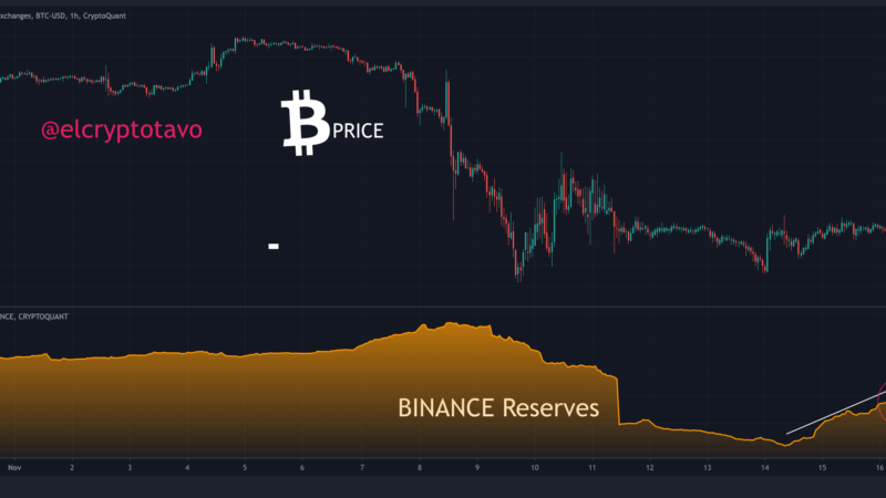 Bitcoin Reserve On Binance Sharply Rises, Whales Preparing For More Dumping?