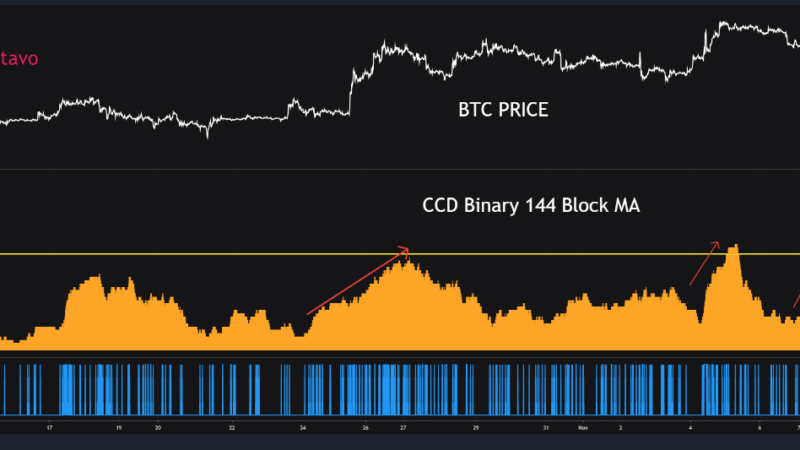 Bitcoin To Dump Even Lower? This On-Chain Metric May Suggest It