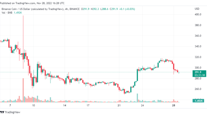 BNB Leads Gains Among Top Cryptos: Will Binance Coin Continue To Roar?