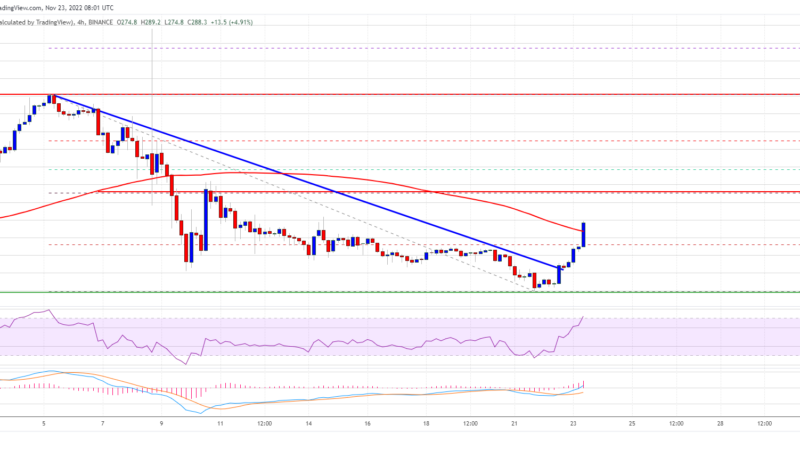 BNB Price Prediction: Indicators Suggest Strong Case For Rally To $320