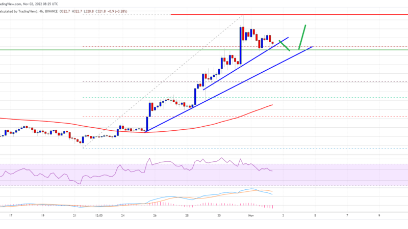 BNB Price Prediction: Why The Bulls Aim More Gains Above $350