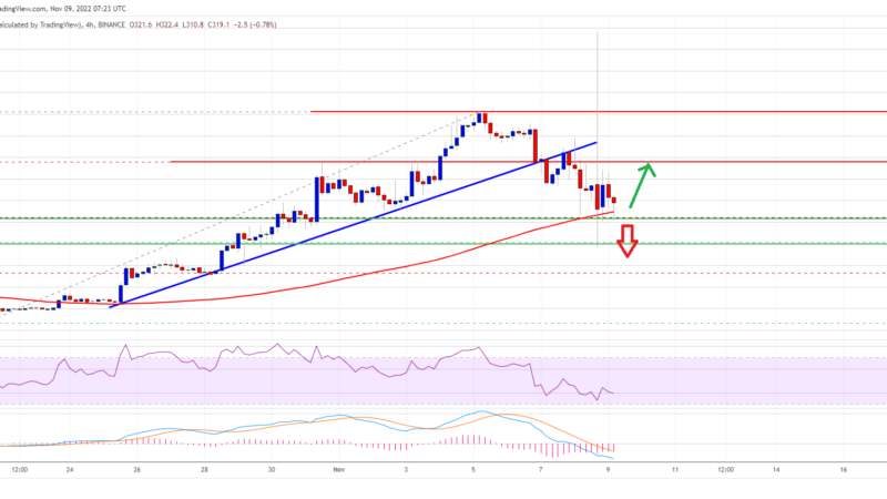 BNB Price Prediction: Why This Support Is The Key For Fresh Increase