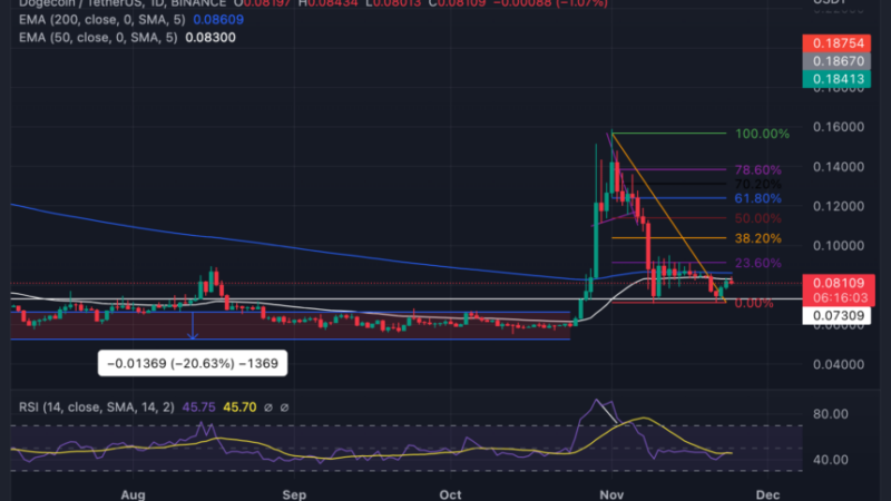 Dogecoin Holds $0.08 Against All Odds; Here is Why This Will Favor DOGE Army