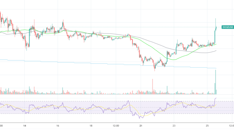 Dogecoin Jumps 10% As Gokhshtein Claims Buterin And Musk Will Work Together For DOGE