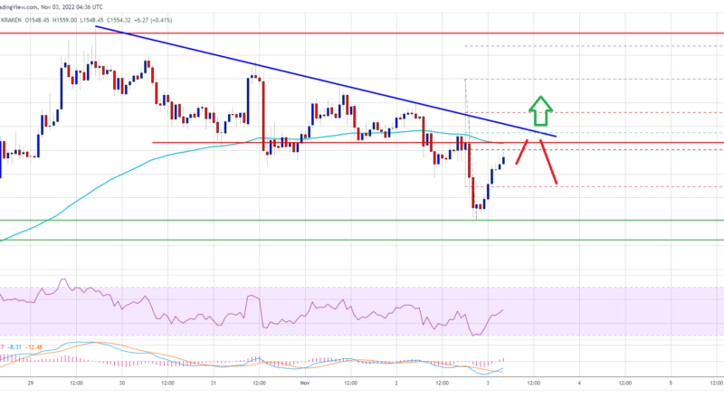 Ethereum Price Extended Losses But It’s Too Early to Say Bulls Have Given Up