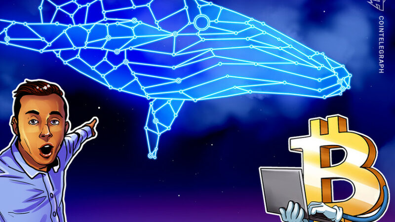 How to transfer $1 billion for basically free: Bitcoin whale watching