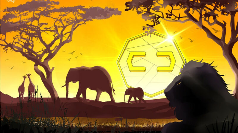 IMF calls for tighter crypto regulation in Africa as the industry unfolds