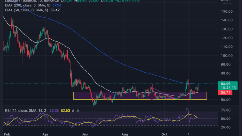 Litecoin (LTC) Defends $60 As Altcoins Suffer; Here Are Levels To Watch