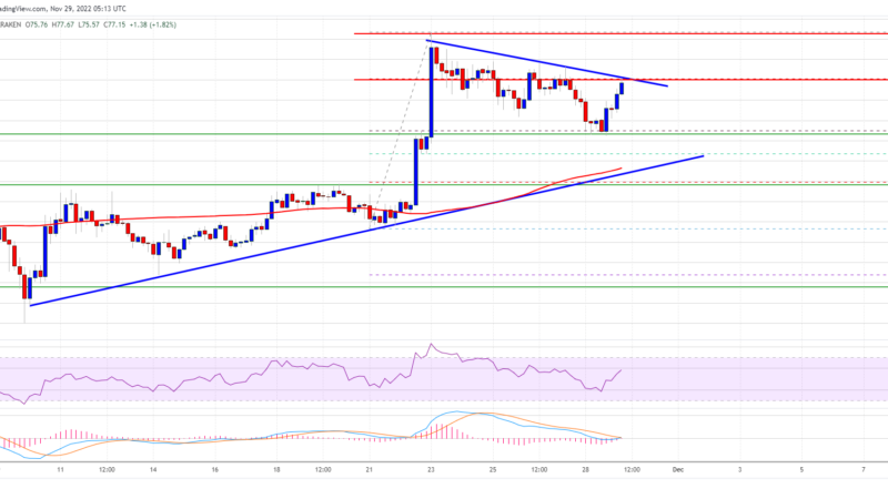 Litecoin Price Prediction: Why LTC Could Hit $100 and Outperform Bitcoin