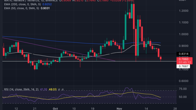 Polygon Faces Decision Time As Price Sits On Key Support; Will $0.7 Hold Sell-off?