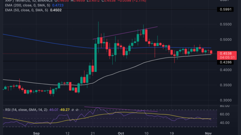 Ripple (XRP) Sits On Key Support; Here Is What Could Happen If $0.45 Fails
