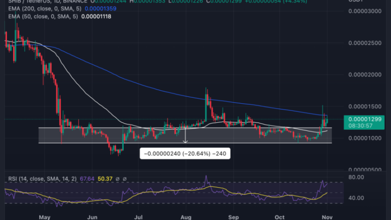 Shiba Inu (SHIB) Plays Catchup With DOGE; Will Bulls Push For $0.00002?