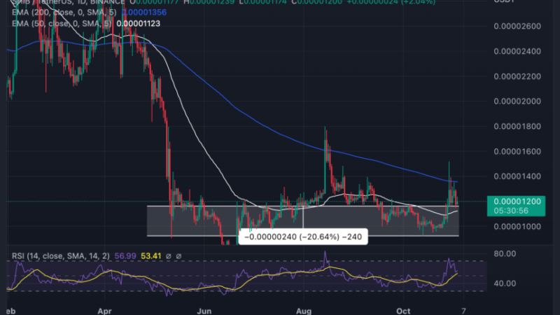 Shiba Inu Struggle Continues As Altcoins Rally With Over 70% Gain; Here Is Why