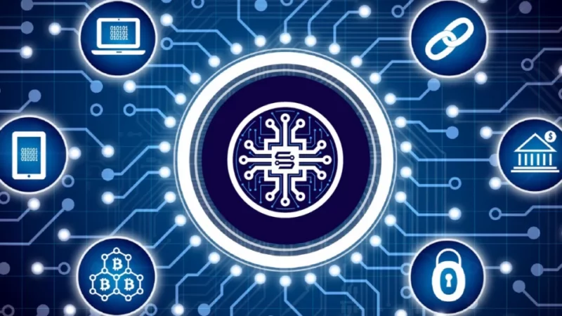 Snow Protocol (SNW) Is The Top Platform! Orbeon Protocol And Flasko Lack Behind!