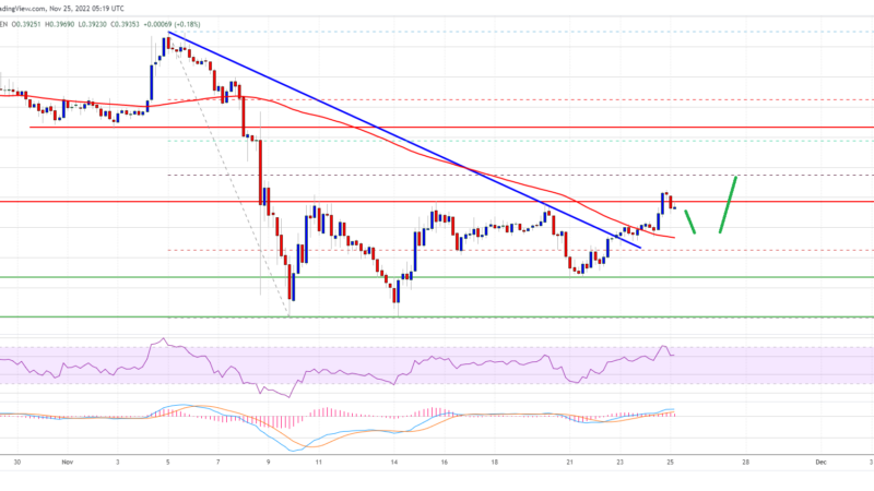 XRP Price Prediction: Why The Bulls Could Aim Fresh Rally To $0.45