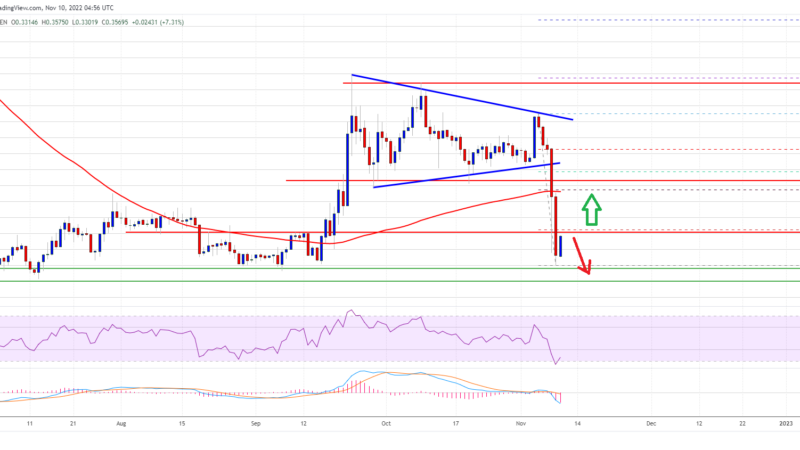 XRP Price Prediction: Why The Bulls Could Protect This Crucial Support