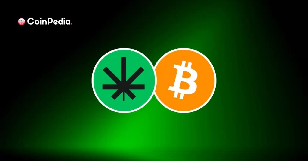 As Bitcoin Falls To 2-Year Low, Crypto Whales Think BudBlockz Has A Better Growth Potential