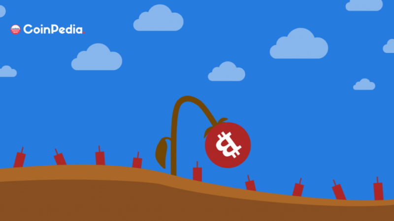 Bearish Clouds Haunt the BTC Price Rally, Will Bitcoin Be Stuck Under Miners’ Capitulation?
