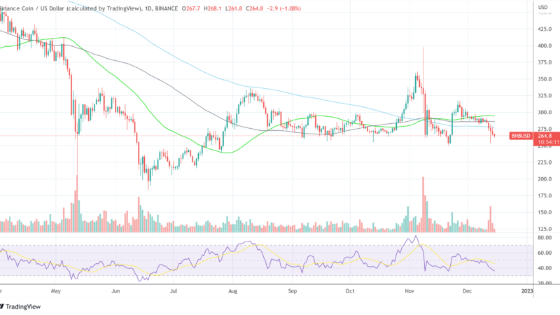 Binance Coin Facing Massive Sell Pressure? Mithril Team Wants 200,000 BNB Back
