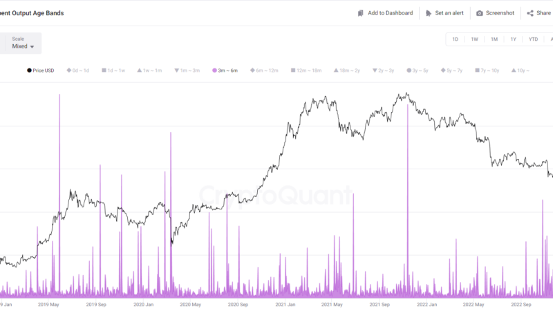 Bitcoin Bearish Signal: ‘Mid-Term’ Holders Show Signs Of Dumping
