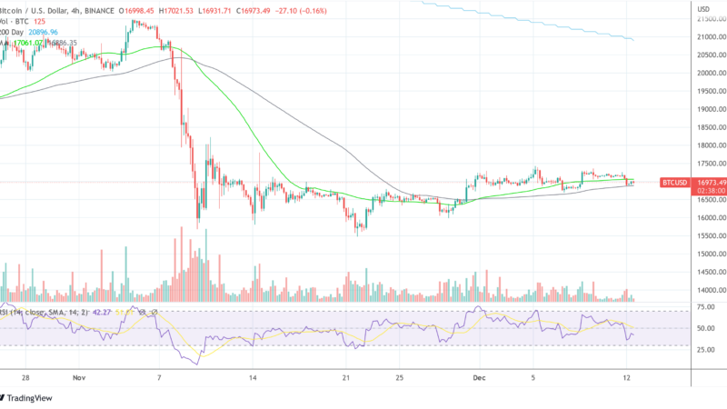 Bitcoin Bottom Or More Pain? Here’s What BitMEX Founder Arthur Hayes Thinks