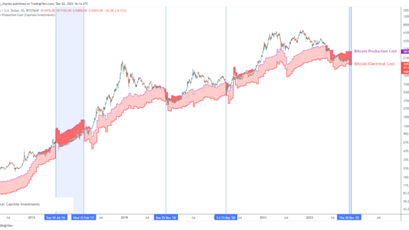 Bitcoin Fundamental Expert Breaks Down Why The Bottom Is In