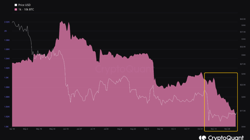 Bitcoin Whales Continue To Shed Holdings, Prices Not Attractive Enough?