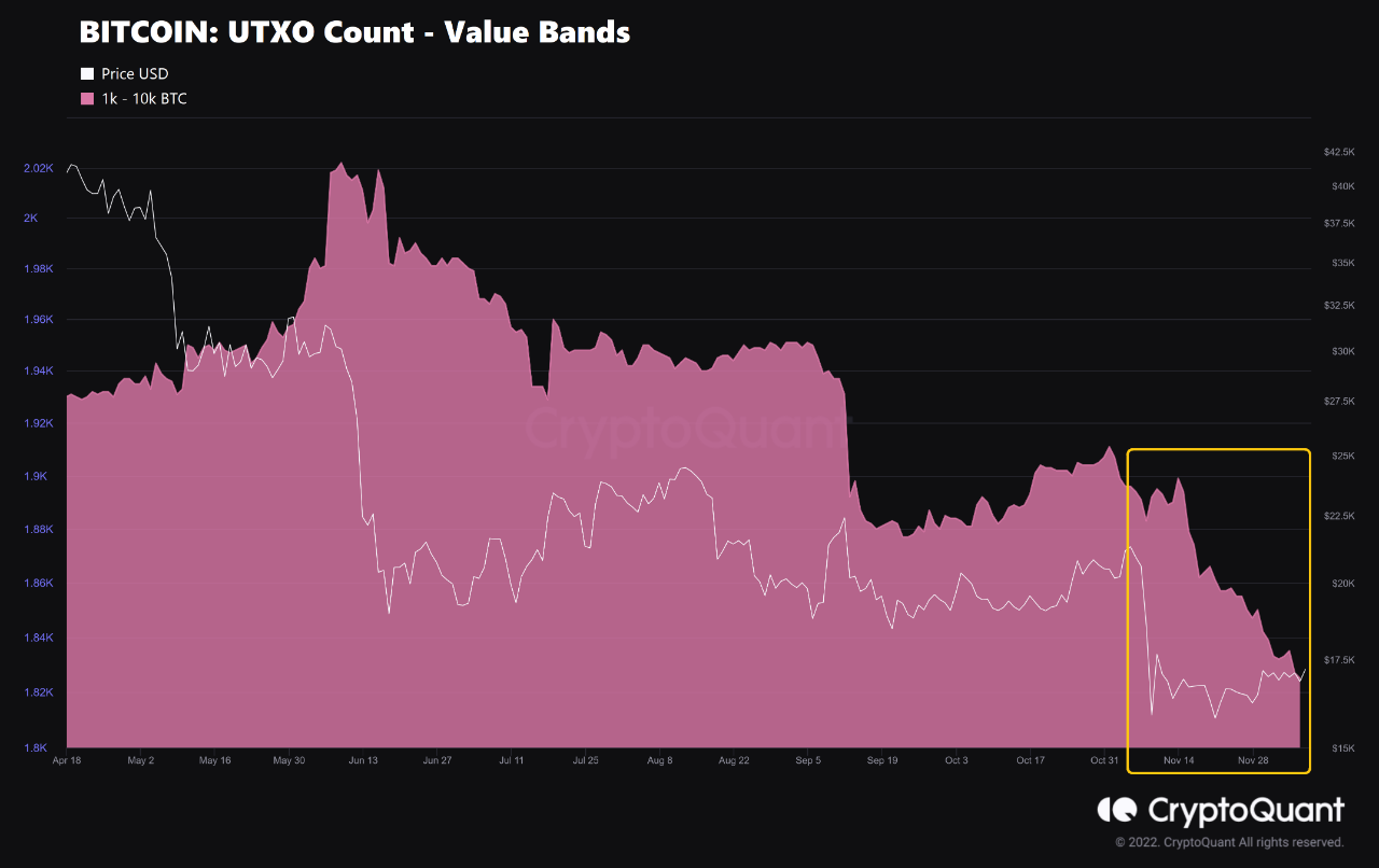 Bitcoin Whales Continue To Shed Holdings, Prices Not Attractive Enough?