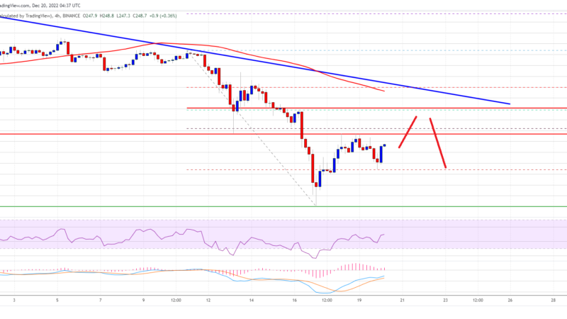 BNB Price Rebounds Toward $250 But Risk of Drop To $200 Still Exists