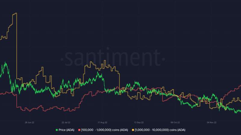 Cardano (ADA) Extremely Undervalued? On-Chain Data Suggests So