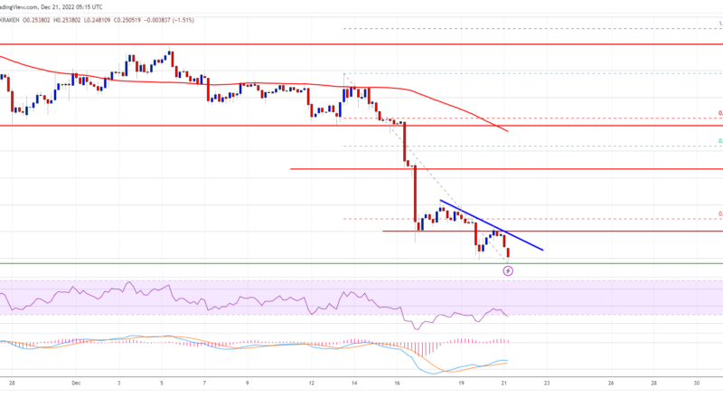 Cardano (ADA) Price Prediction: Downtrend Far From Over, $0.22 Still In Play