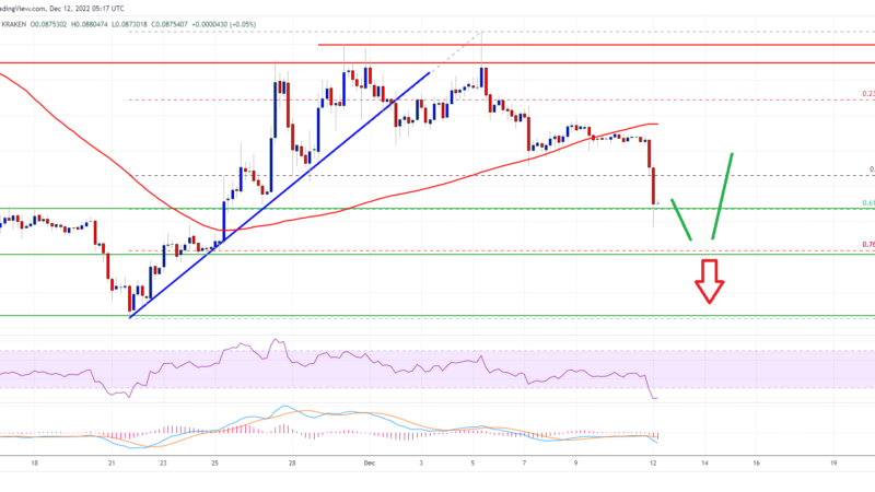 Dogecoin Price Plunges 10%, Time To Buy DOGE on Dips?