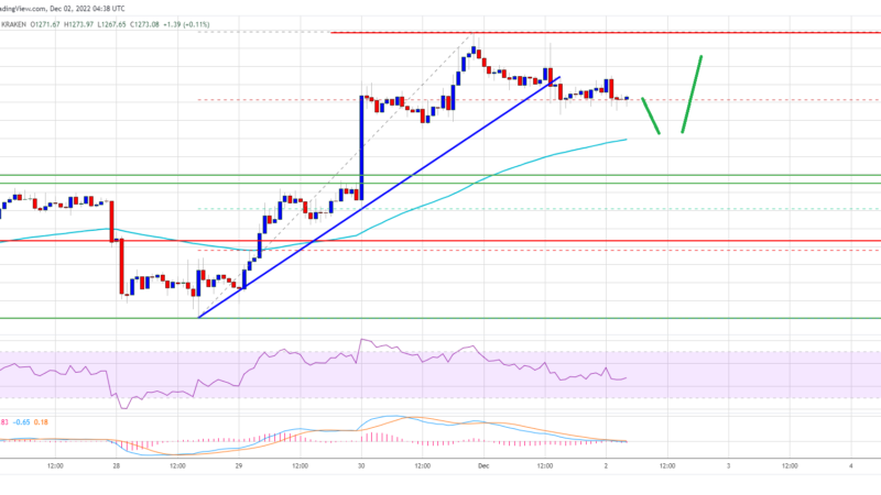 Ethereum Price Holds Strong at $1,250: A Strengthening Case for Upside