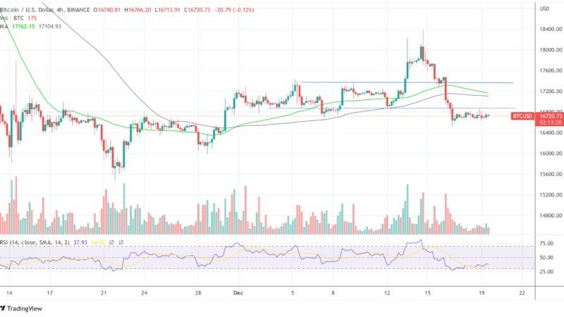 Grayscale Says It May Return 20% Of Investor Capital, Bitcoin Refuses To Budge