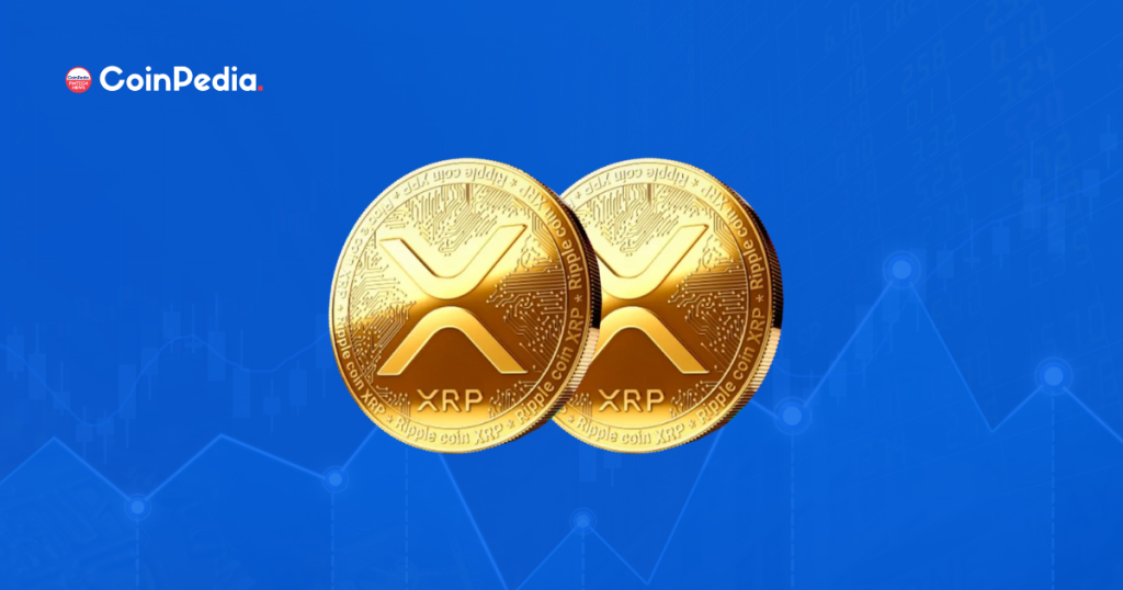 Here’s Why The Crypto Whales Are Moving Their XRP Holdings