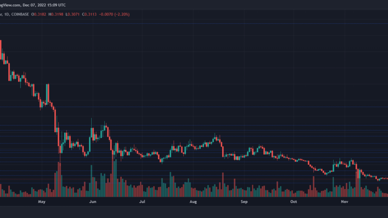 Key Support Line For Cardano Price Rests Here As The Coin Moves South