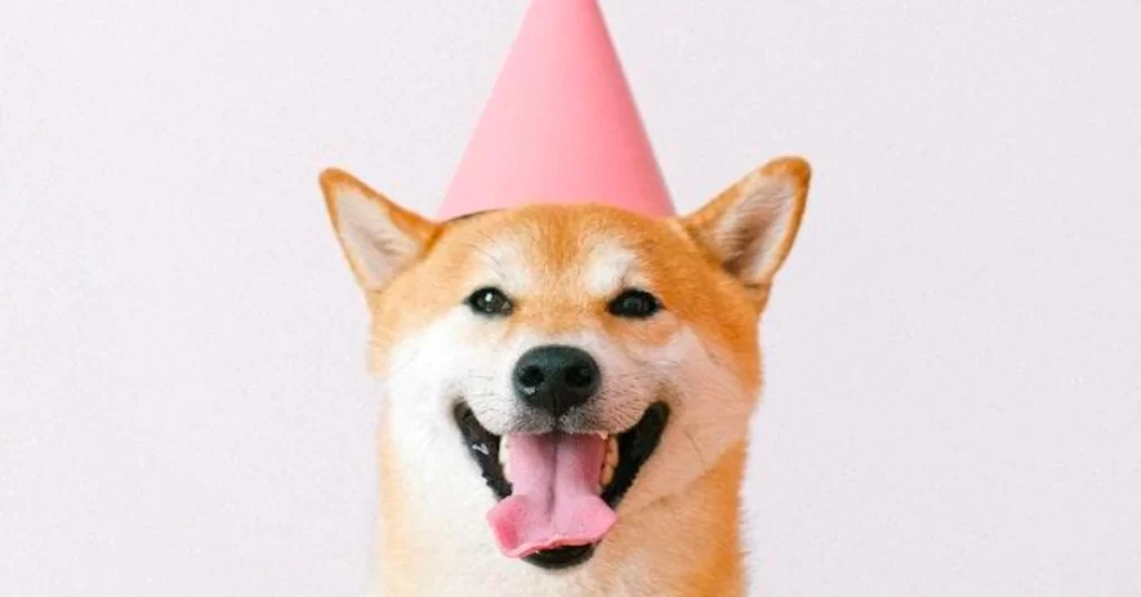 Meme Coins Are the Future: Dogecoin, Shiba Inu & Toon Finance