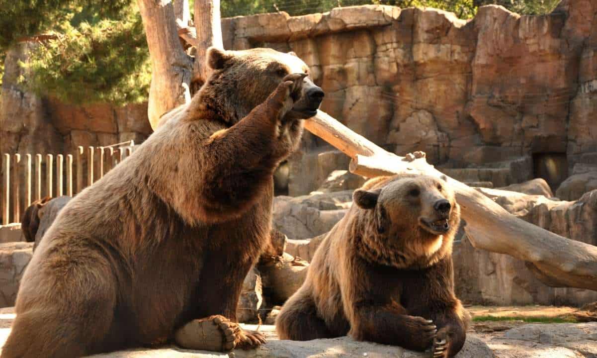 MicroStrategy Buys More BTC, FTX Revelations and More Contagion: This Week’s Crypto Recap