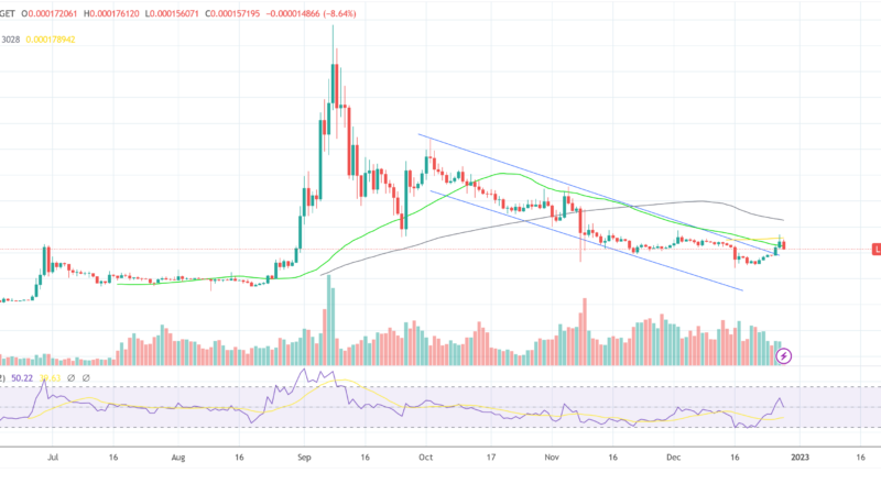 Terra Classic (LUNC) Crashes 11% After This Binance Change