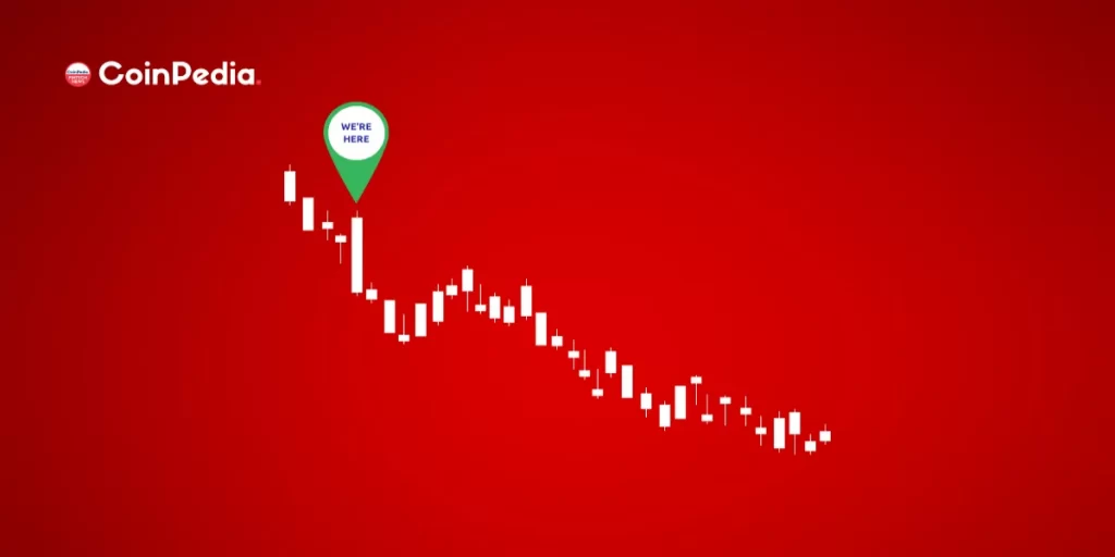 The Crypto BloodBath Has Just Begun, Prepare For The Worst – Warns Popular Economist