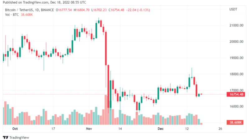 Whales Accumulate $726 Million In Bitcoin, Report Shows
