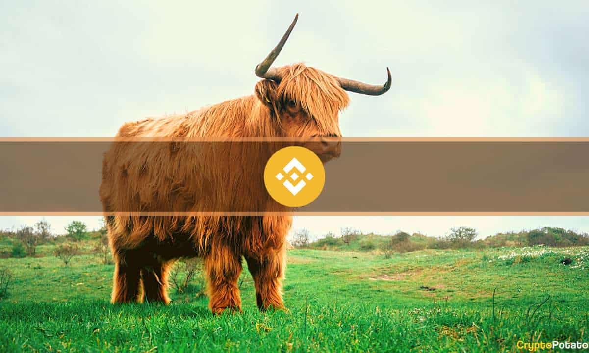 4 Bullish and 2 Bearish Considerations for Binance Coin (BNB) Heading into 2023 (Opinion)