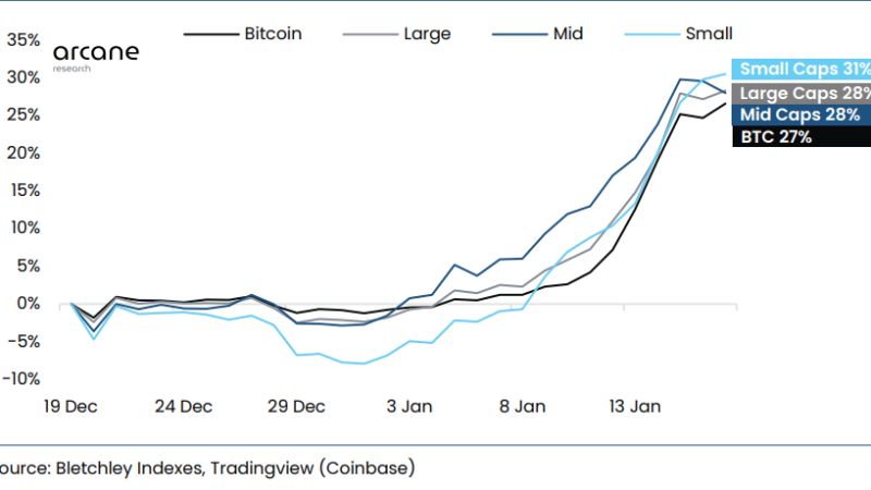Altcoin Indexes Outperform Bitcoin, Small Caps Lead Market