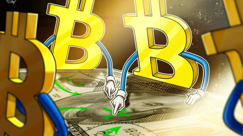 Bitcoin 7-month high ‘dominance’ has BTC price eyeing $25K — Will Ethereum spoil the rally?