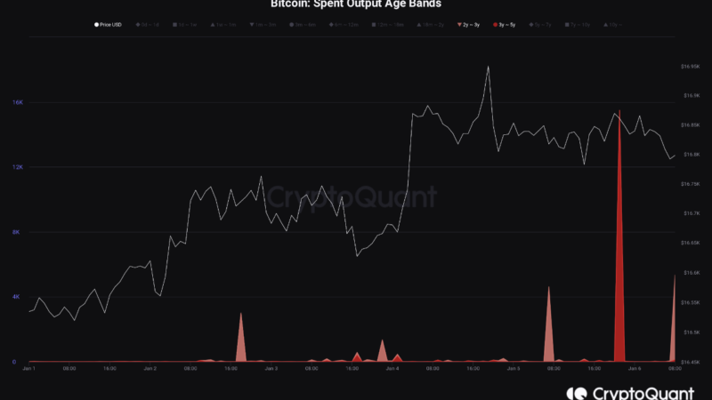 Bitcoin Bearish Signal: Large Dormant Supply On The Move